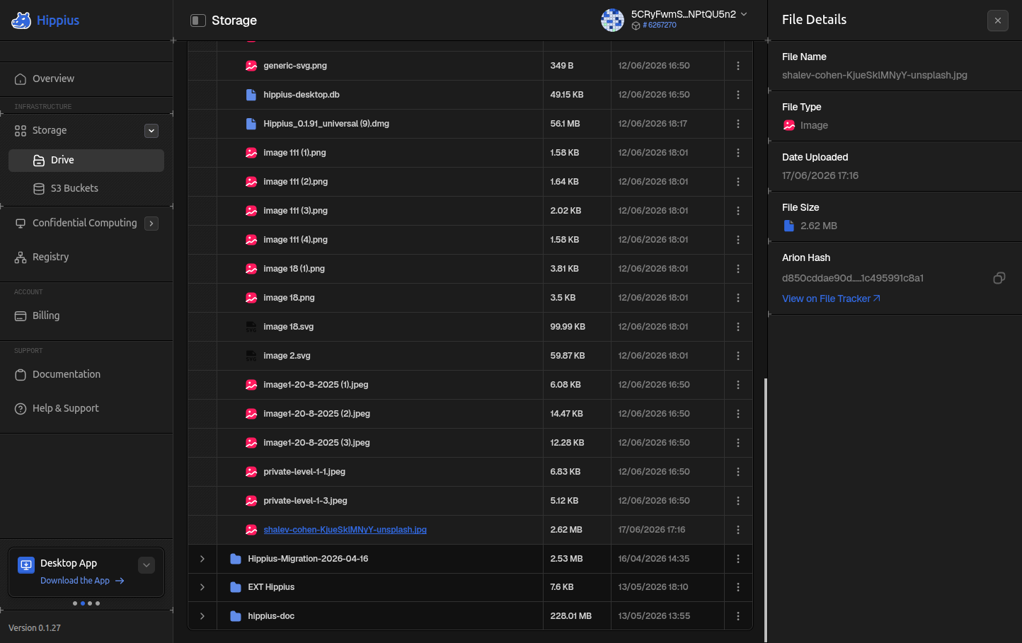 File details panel