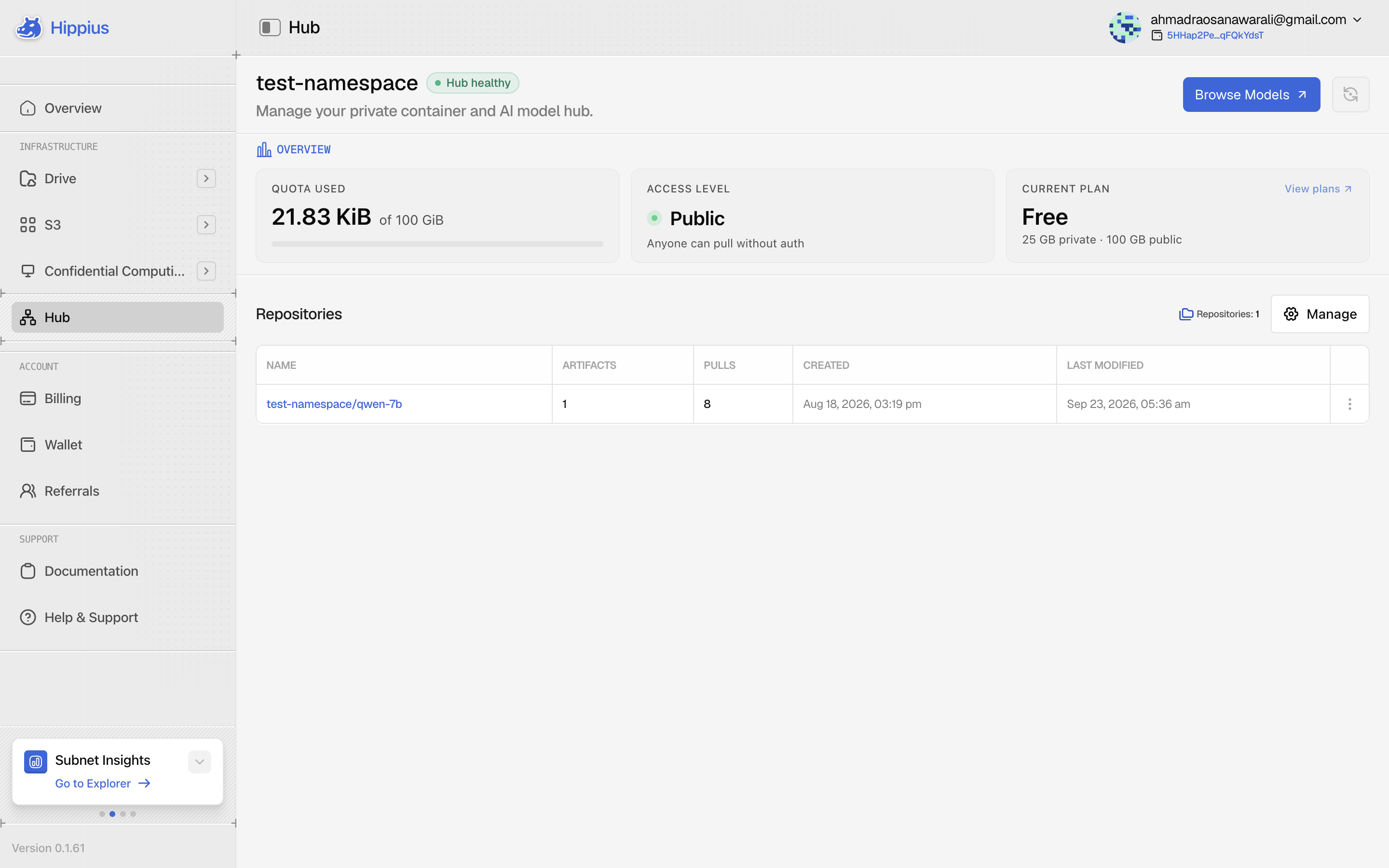 The Hub page in the Hippius Console