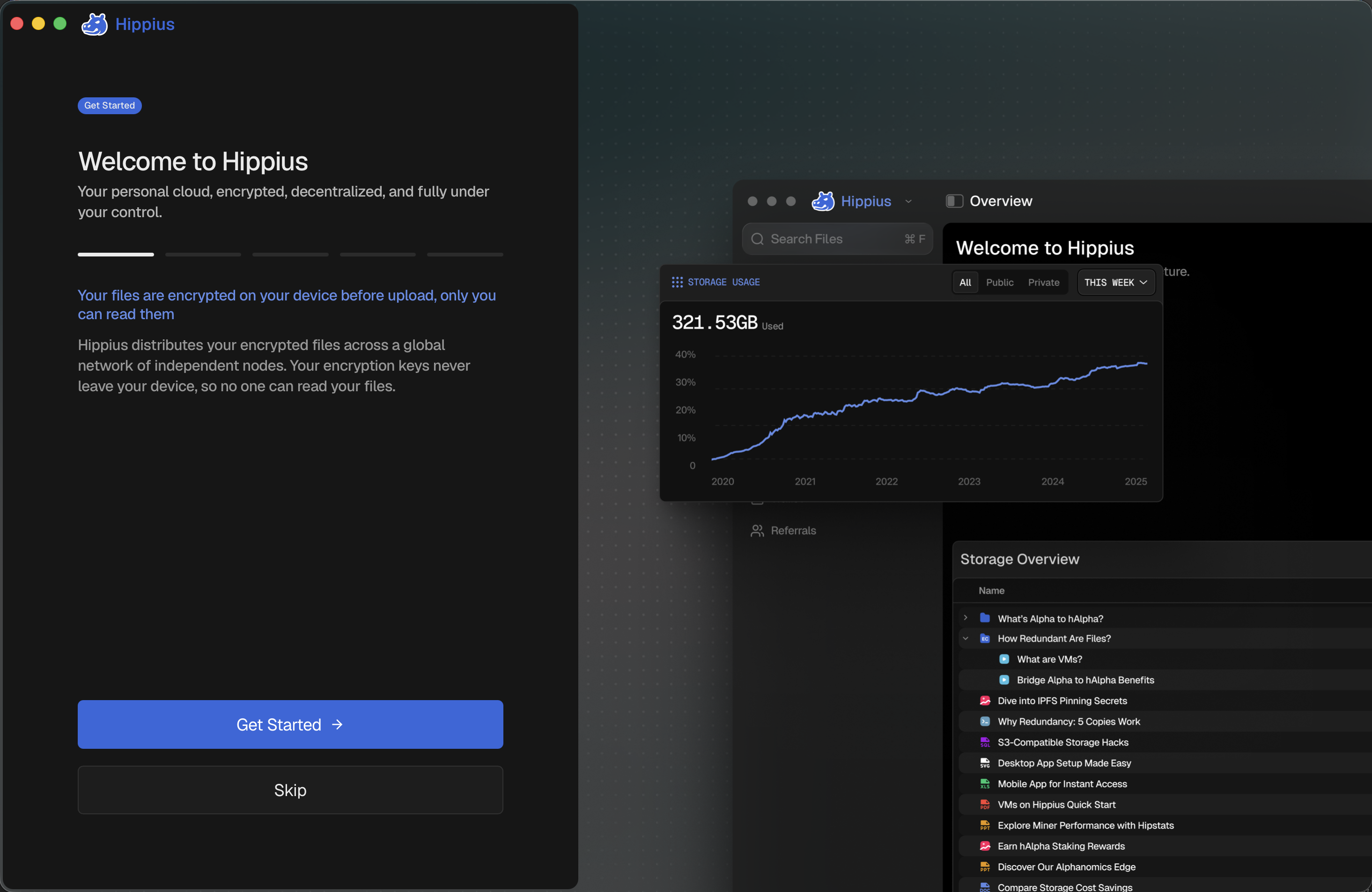The onboarding wizard showing the "Welcome to Hippius" screen with the feature highlights and the app preview illustration
