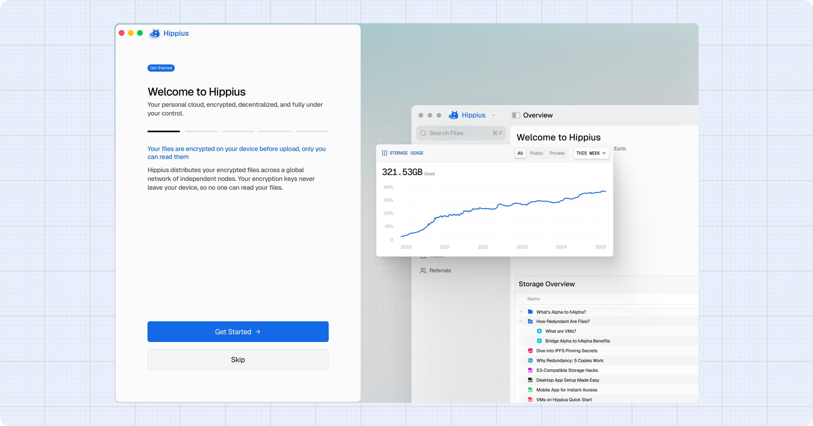 The onboarding wizard showing the "Welcome to Hippius" screen with the feature highlights and the app preview illustration