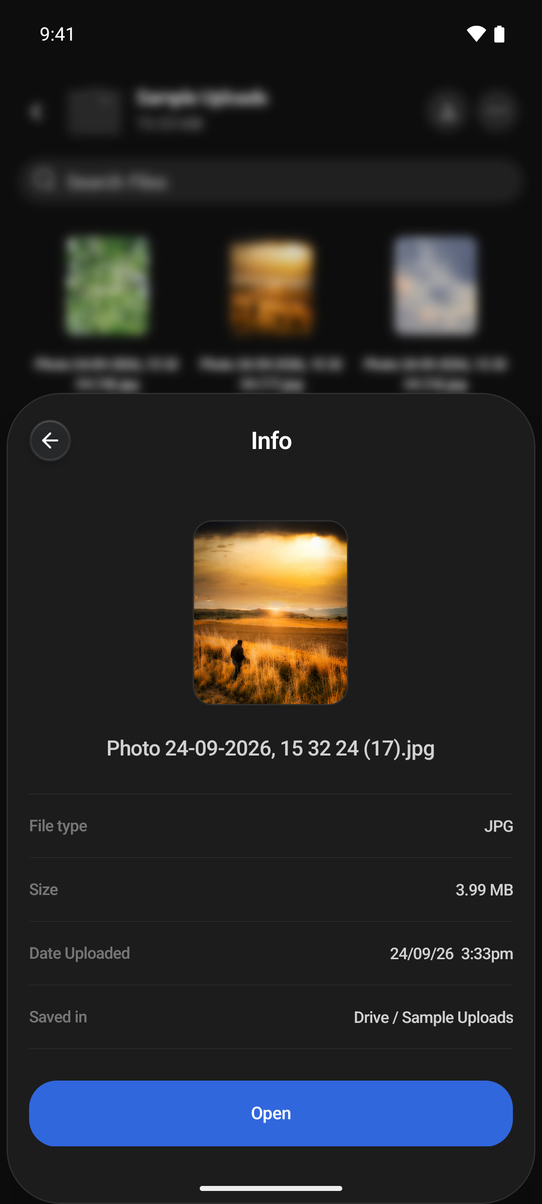 The Info sheet for a photo