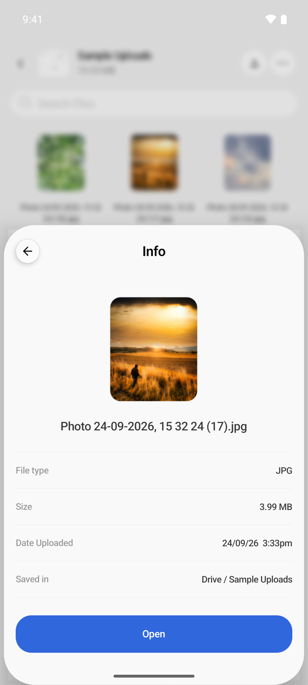 The Info sheet for a photo