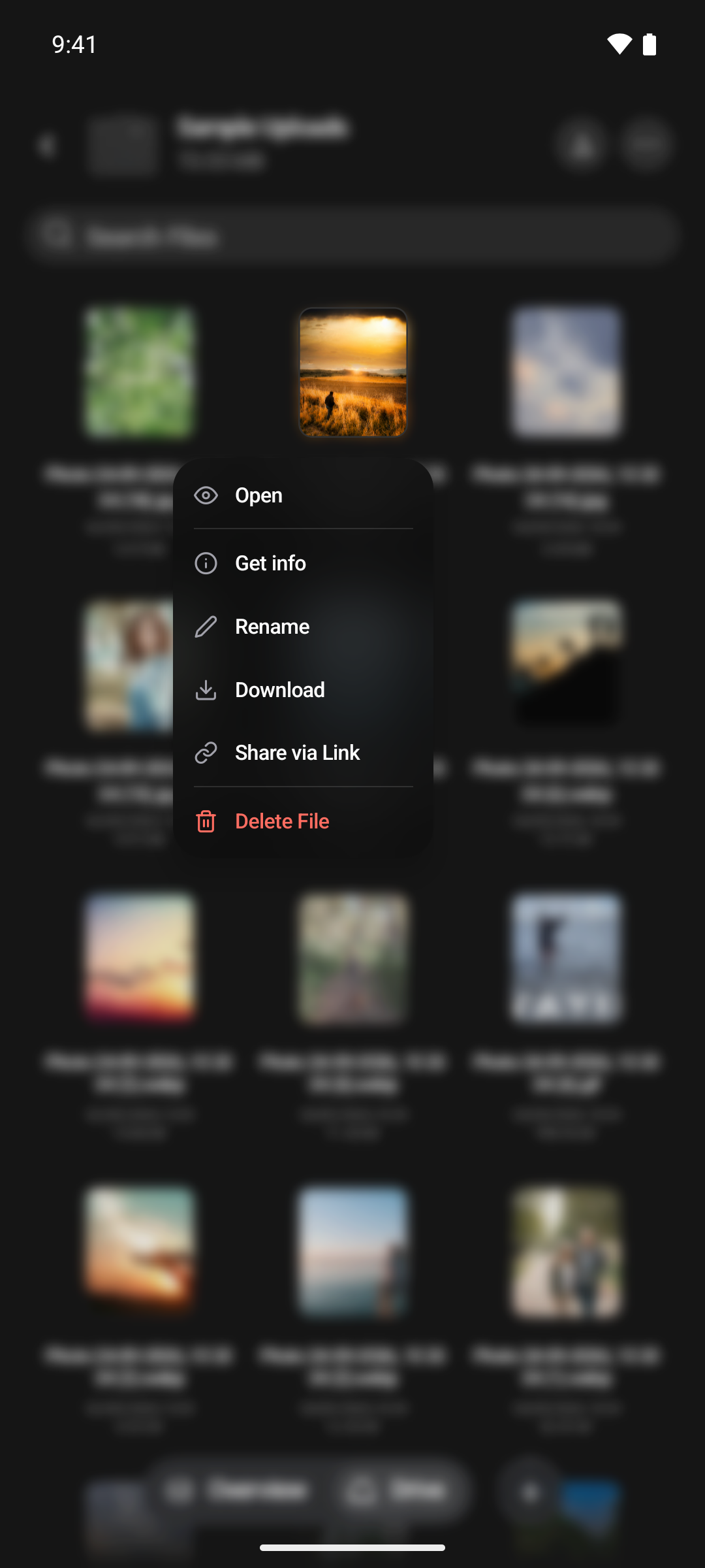The press-and-hold menu on a file