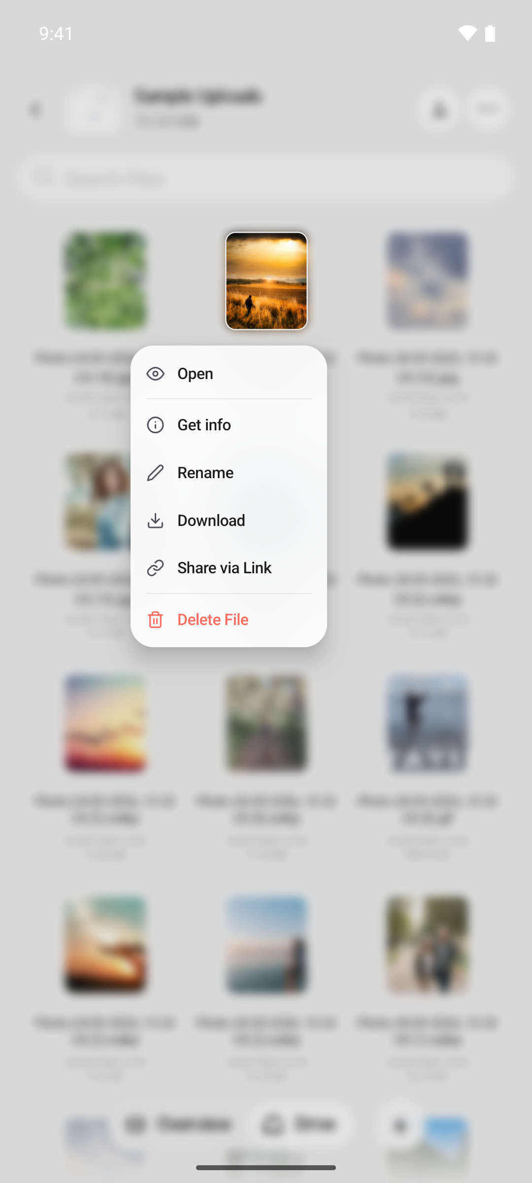 The press-and-hold menu on a file