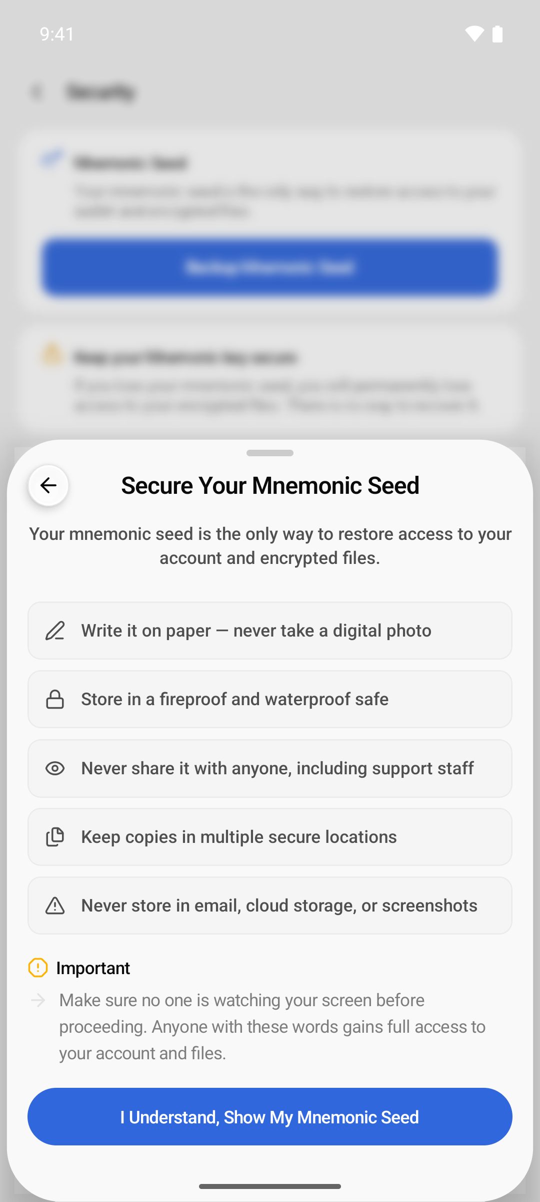 Secure Your Mnemonic Seed step with handling tips